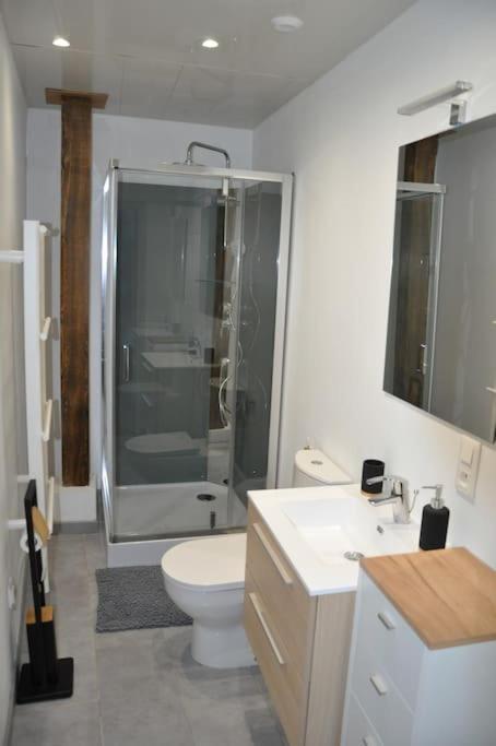 Le Studio Du Tanneur Selestadien Selestat Bagian luar foto