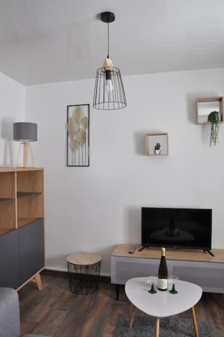 Le Studio Du Tanneur Selestadien Selestat Bagian luar foto